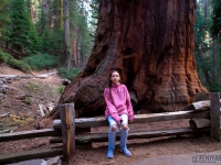 Óriások földjén - Sequoia Nemzeti Park (USA)